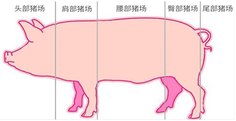 CA88(�й���)Ψһ�ٷ���վ