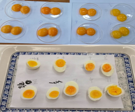 CA88(�й���)Ψһ�ٷ���վ